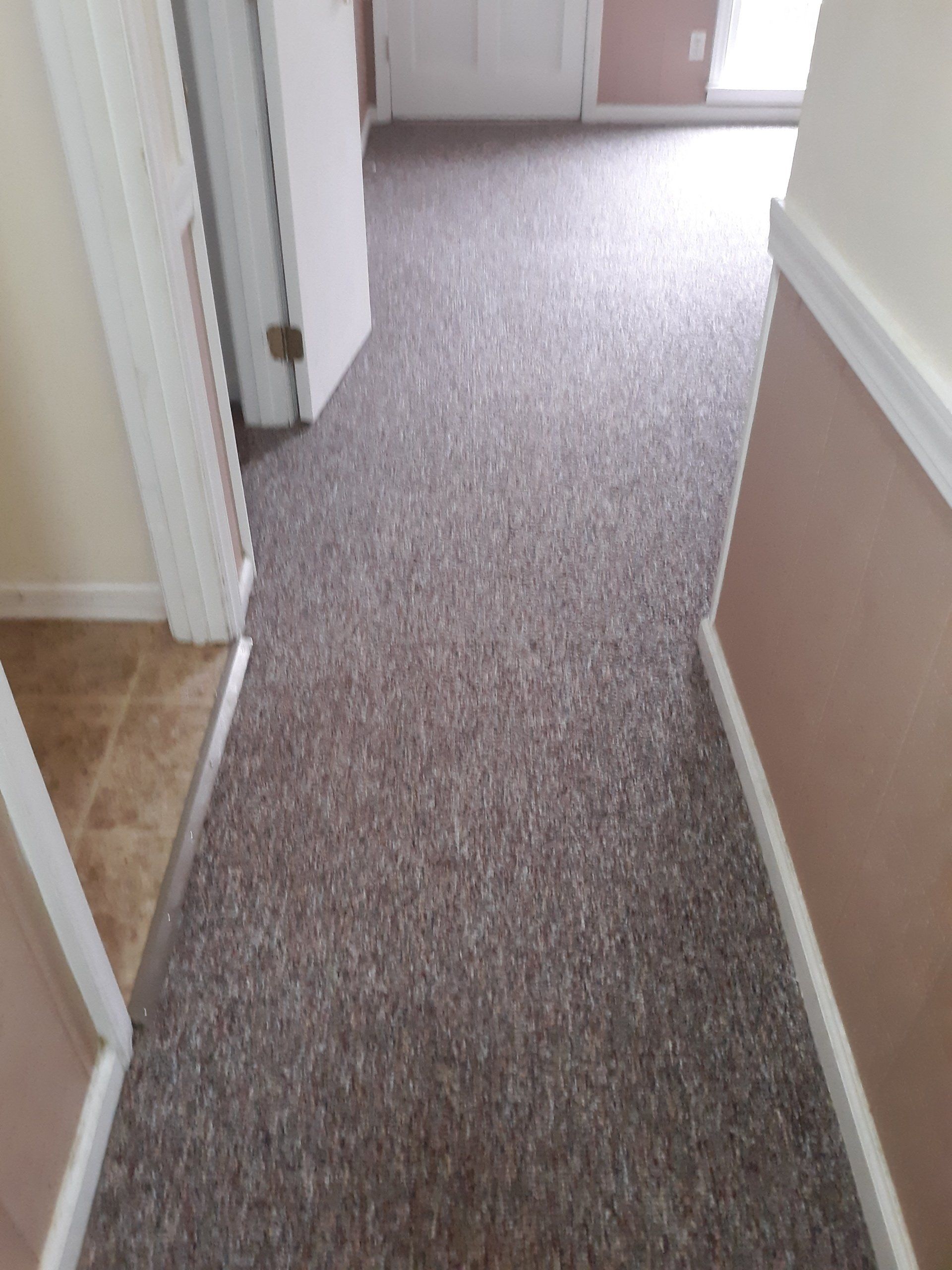 Light Brown Carpet After - Greenville, NC - Jansen Upholstery & Carpet Cleaning