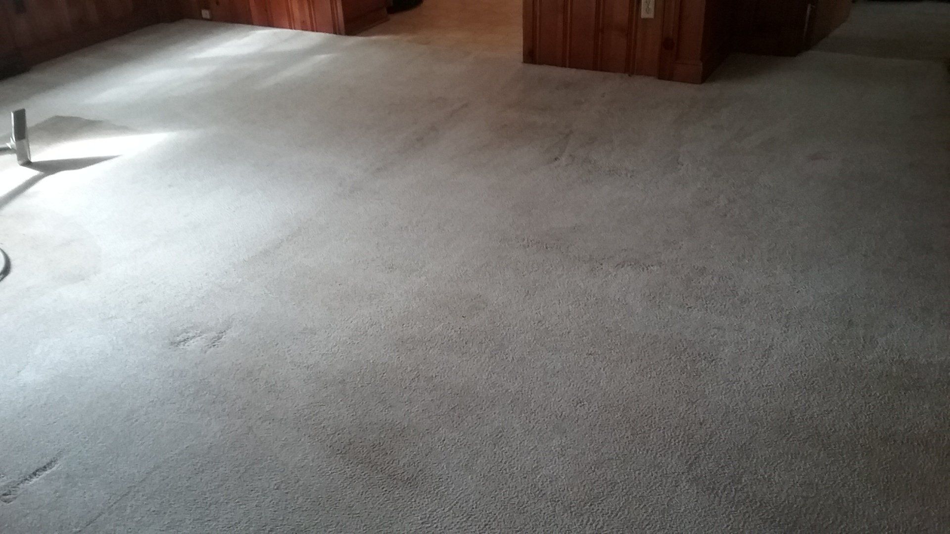 Beige Carpet After - Greenville, NC - Jansen Upholstery & Carpet Cleaning