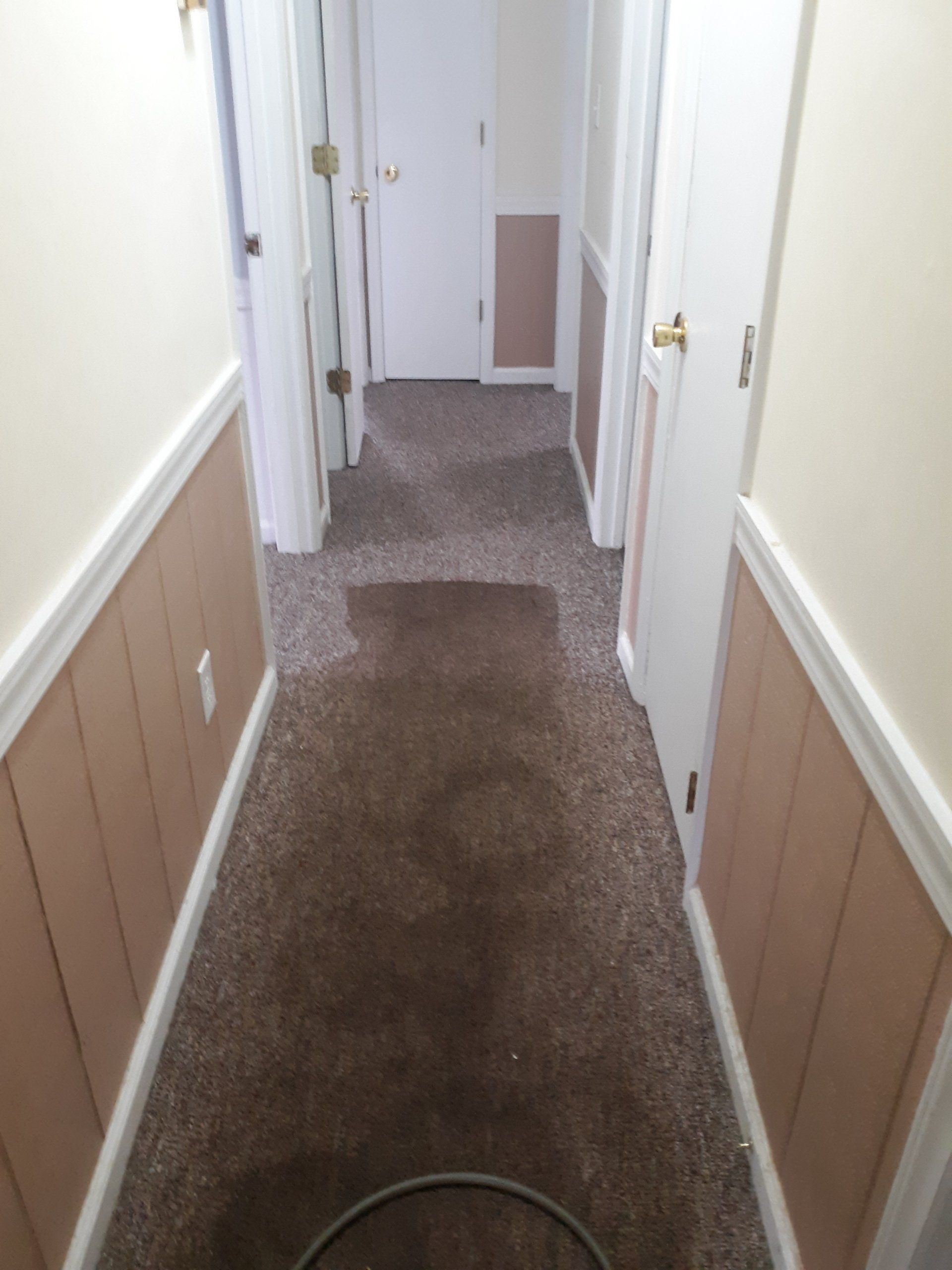 Light Brown Carpet Before - Greenville, NC - Jansen Upholstery & Carpet Cleaning
