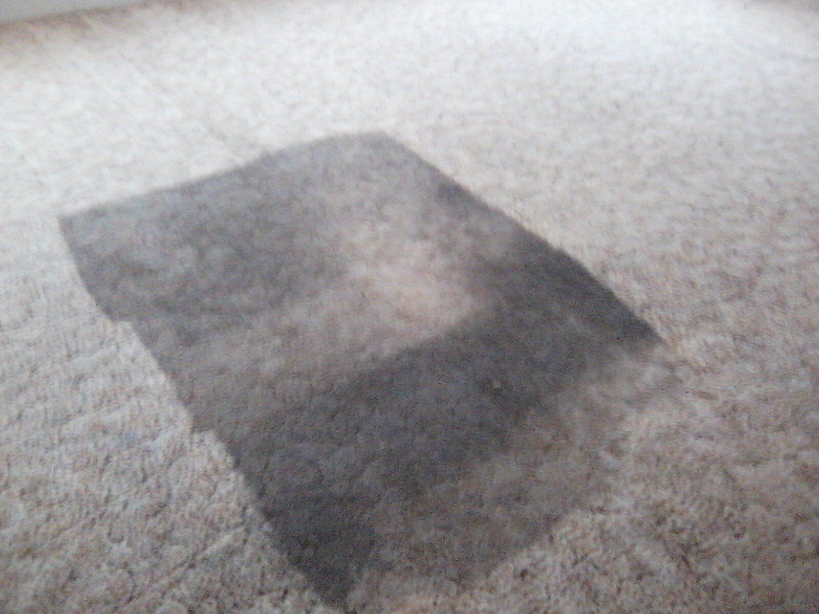 White Carpet Before - Greenville, NC - Jansen Upholstery & Carpet Cleaning