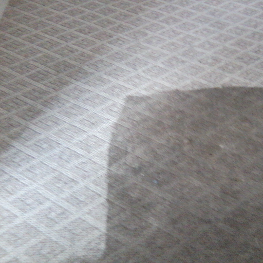 Final Cleaning Carpet - Greenville, NC - Jansen Upholstery & Carpet Cleaning