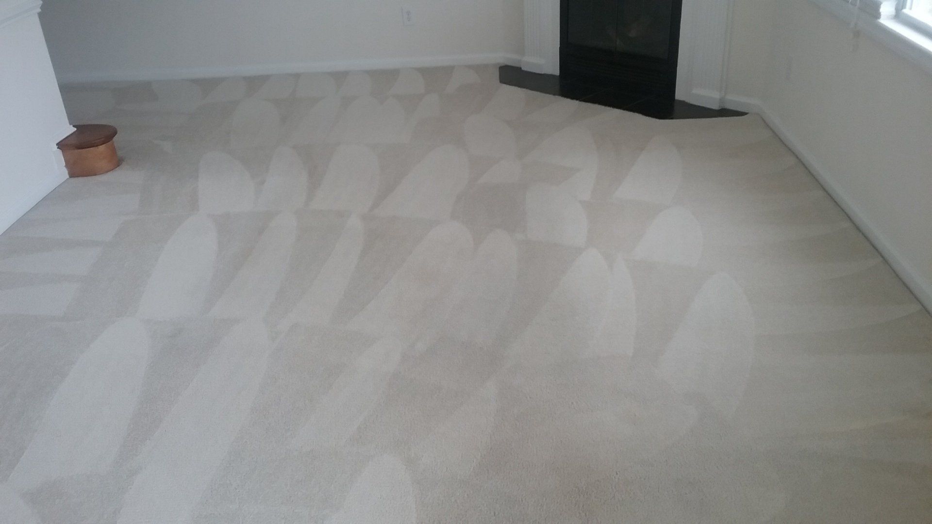 Clean Carpet After - Greenville, NC - Jansen Upholstery & Carpet Cleaning