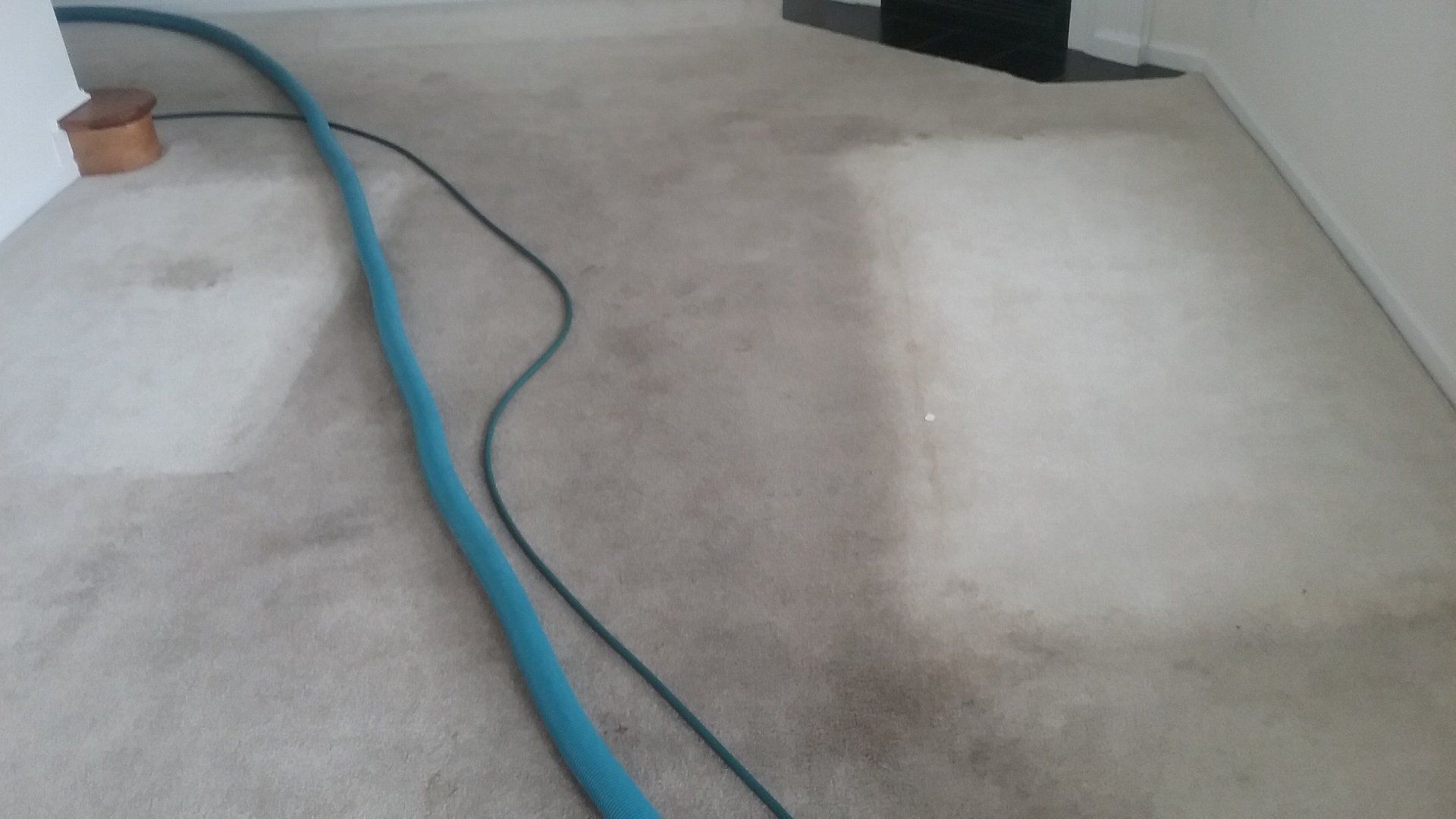 Dirty Carpet Before - Greenville, NC - Jansen Upholstery & Carpet Cleaning