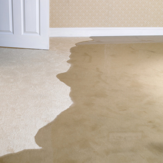 Water Removal - Greenville, NC - Jansen Upholstery & Carpet Cleaning