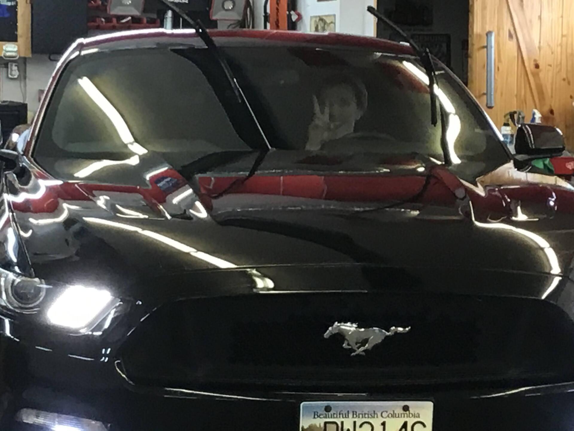 Man Inside Car — Kamloops, BC — Kamshine Automotive Detailing Ltd.