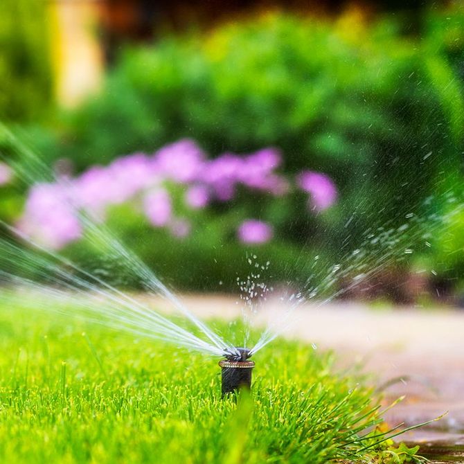 Sprinkler In Garden