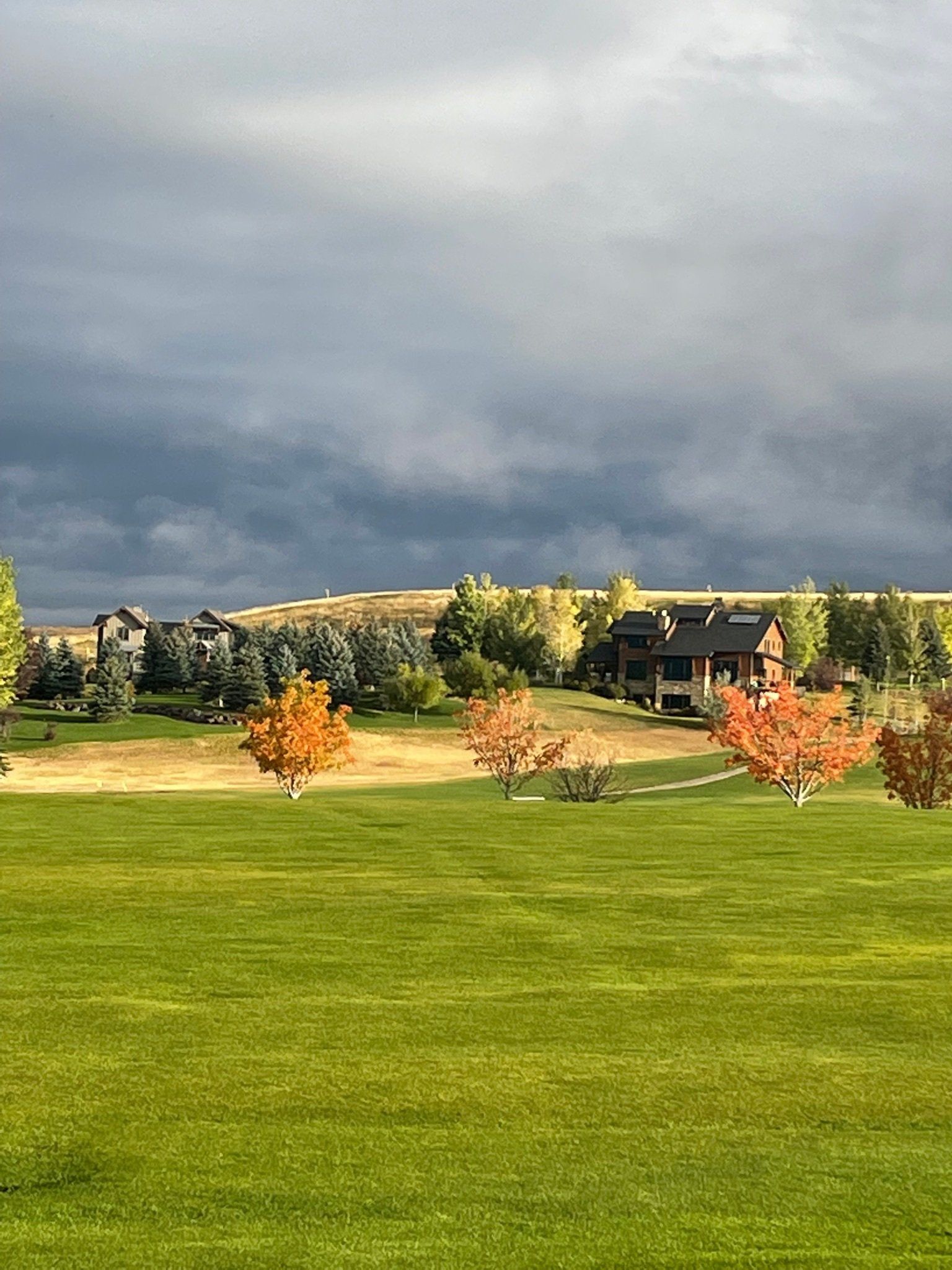 A lush green field with trees and houses in the background on a cloudy day.
