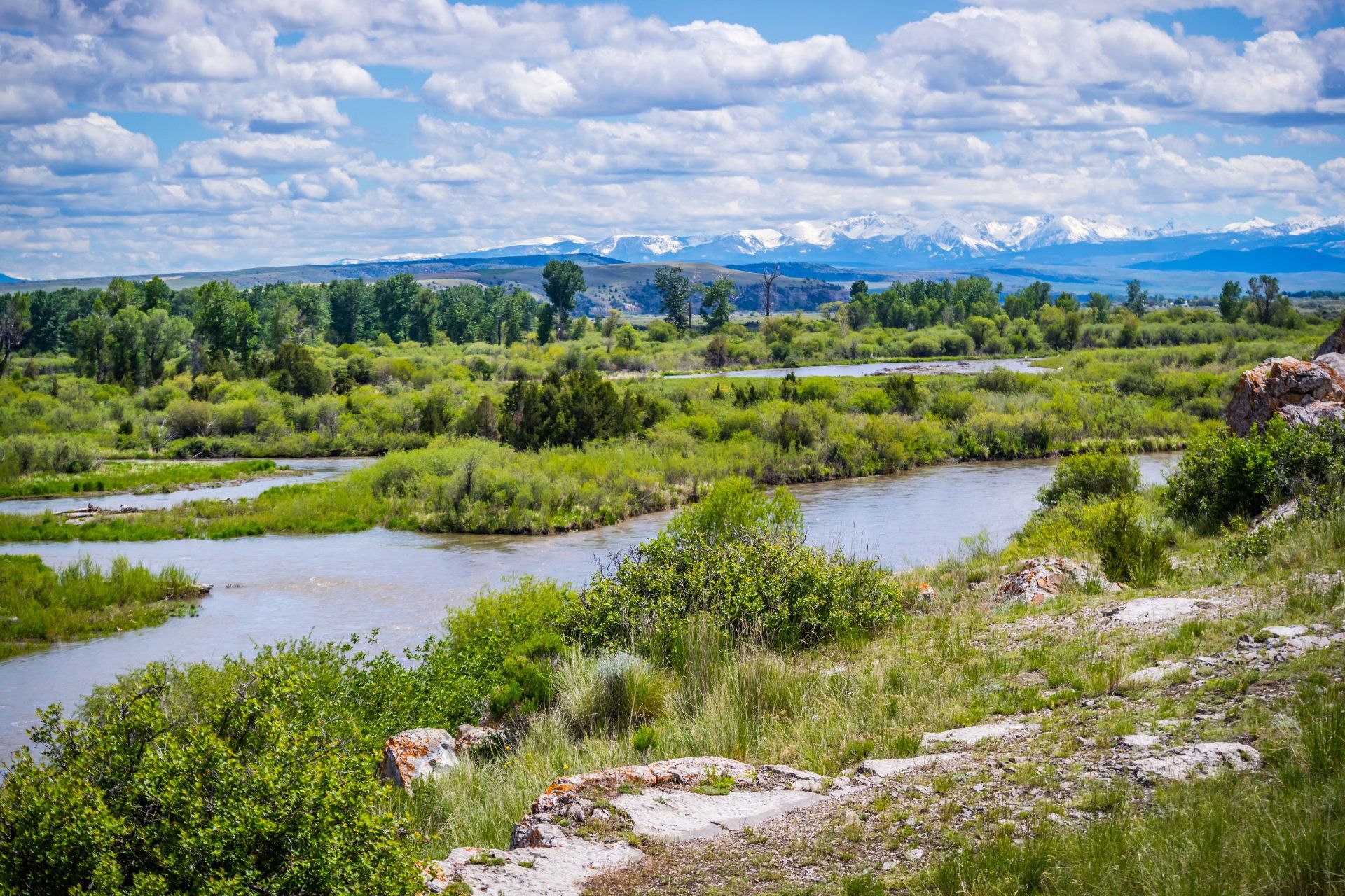 Long curvy river and lot of green grass, trees and bushes.