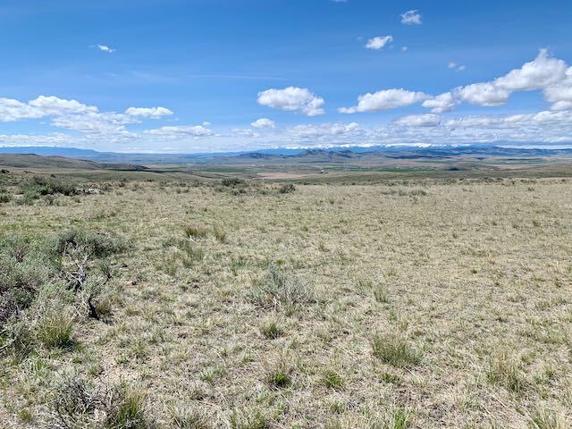 a flat plains in the summer as all the grass is dry and brown