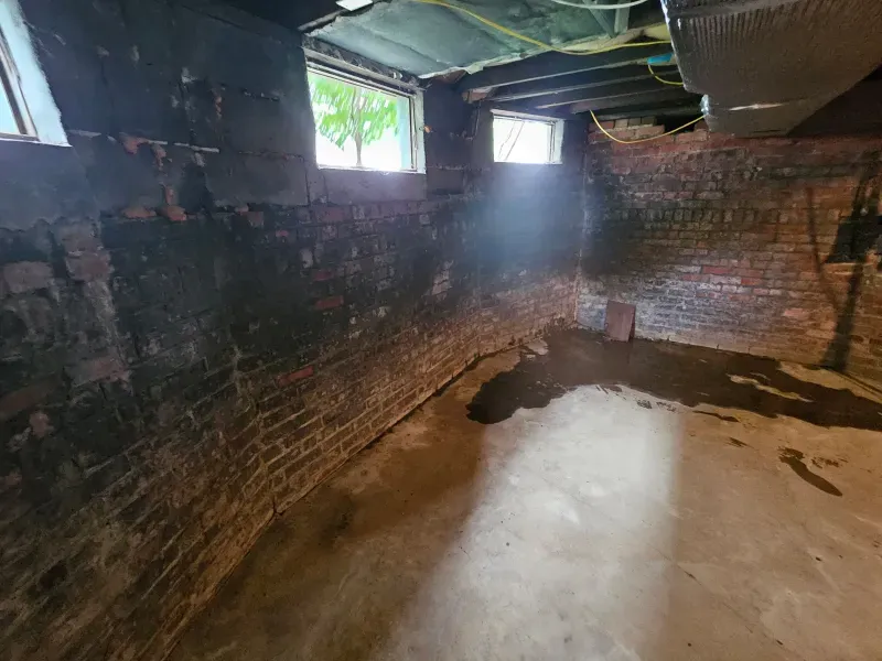 Damp basement with brick walls, concrete floor, and small windows. Walls appear moldy and wet, possibly flooding.