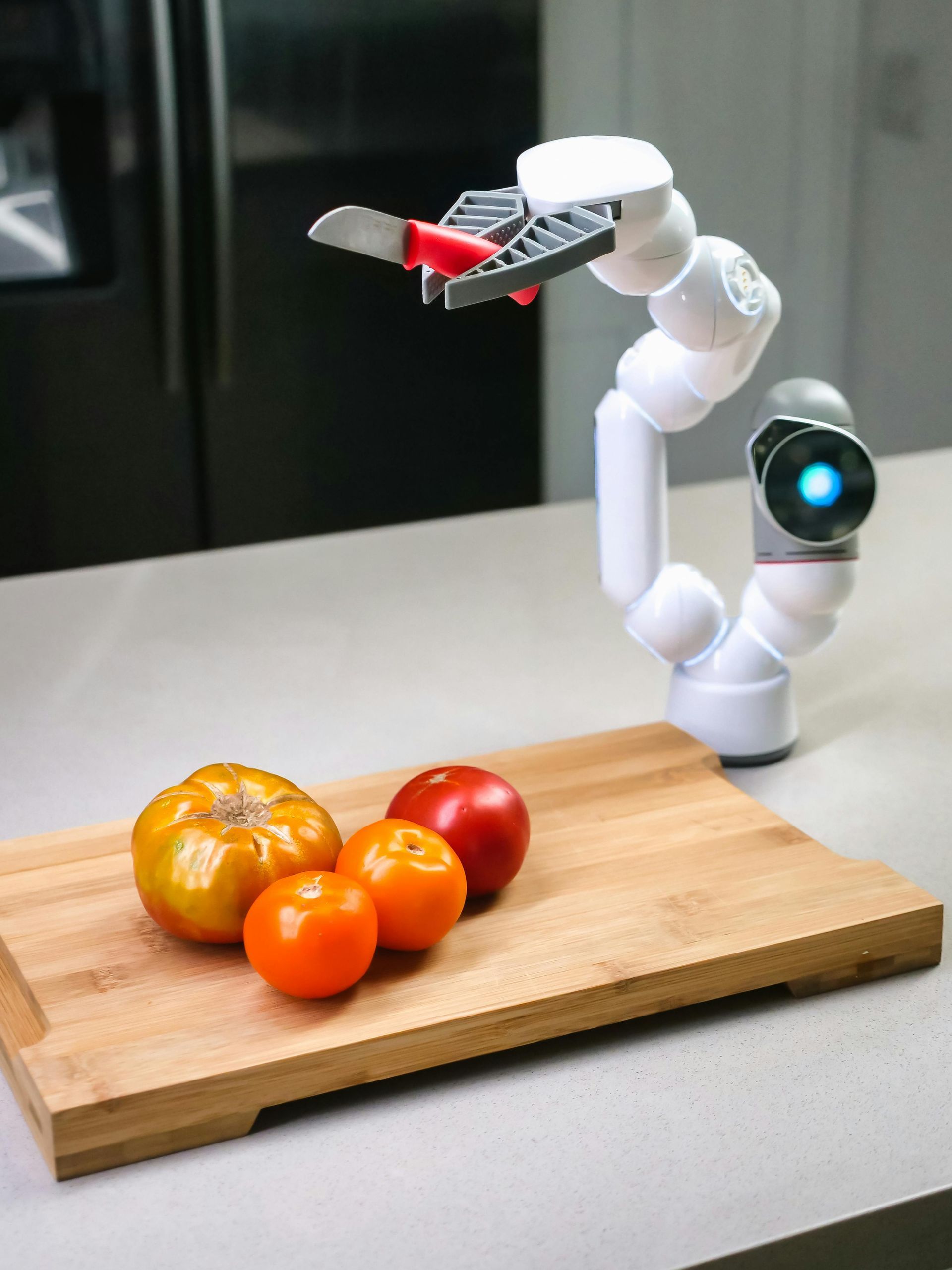 Installation and Maintenance of Home Automation Systems