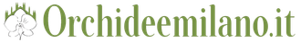 logo Orchidee Milano