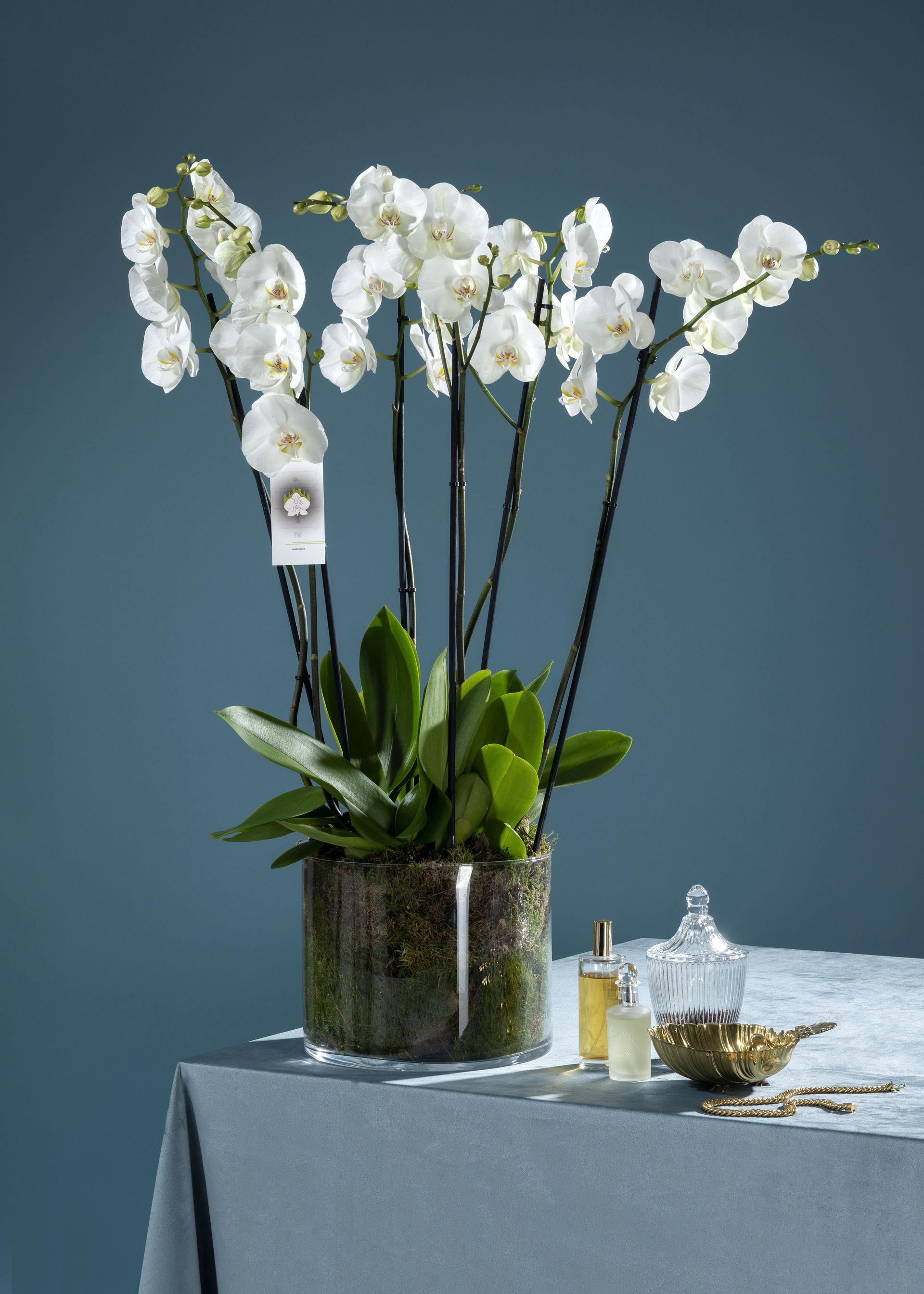 Orchidee bianche in un vaso trasparente su un tavolo con bottiglie di profumo e una tovaglia verde acqua.