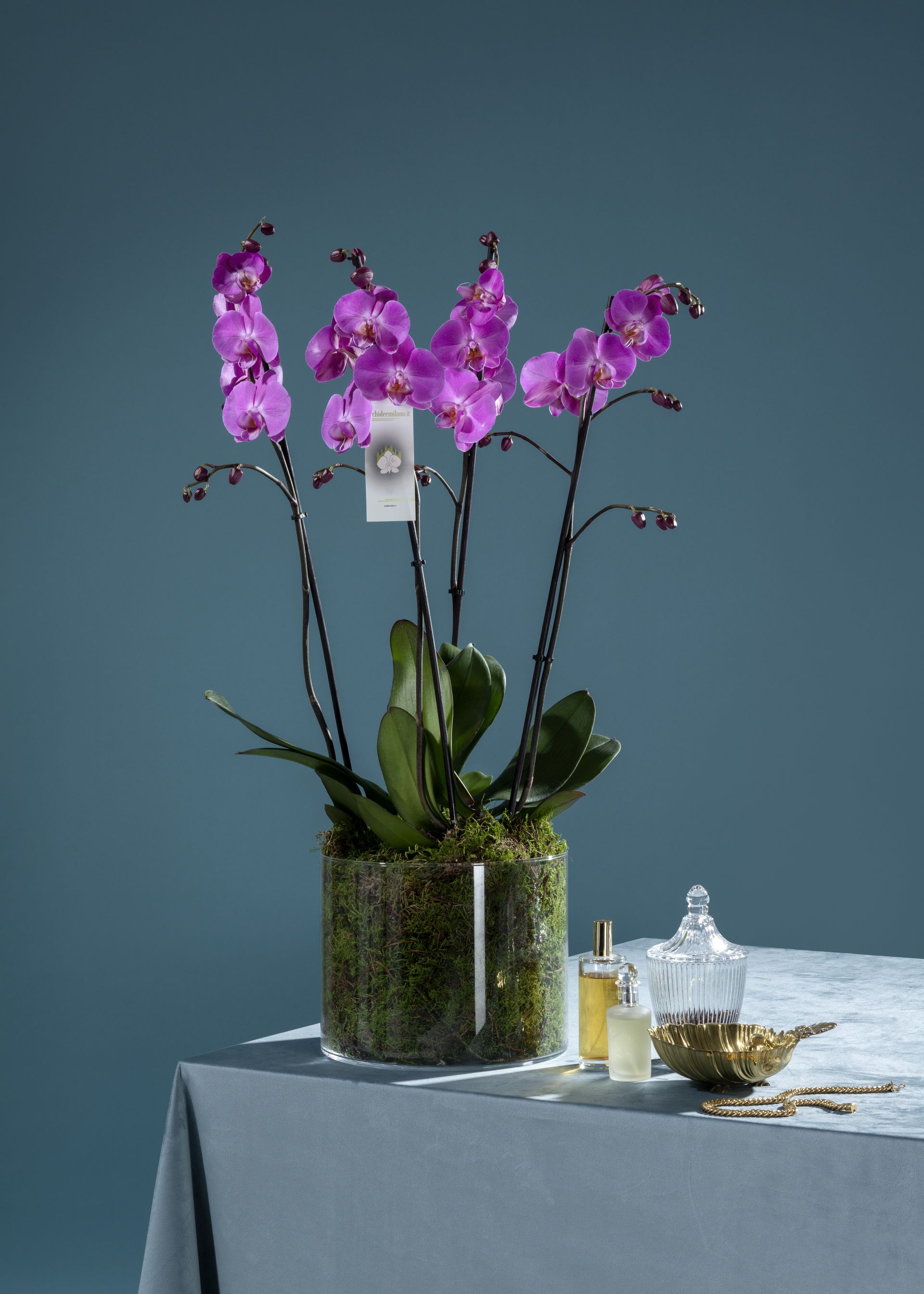 Orchidee viola in un vaso di vetro, disposte su un tavolo con bottiglie di profumo e una ciotola decorativa.