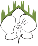 Disegno a tratto nero di un fiore di orchidea centrato su una silhouette stilizzata, di colore verde, di una cattedrale o di un castello.