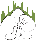 Un fiore di orchidea bianca sovrapposto alla silhouette stilizzata e verde di una cattedrale o di un edificio gotico.