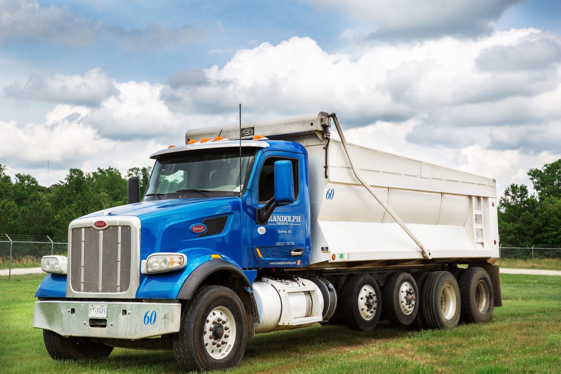 Blue and white dump truck parked on grass under a cloudy sky.