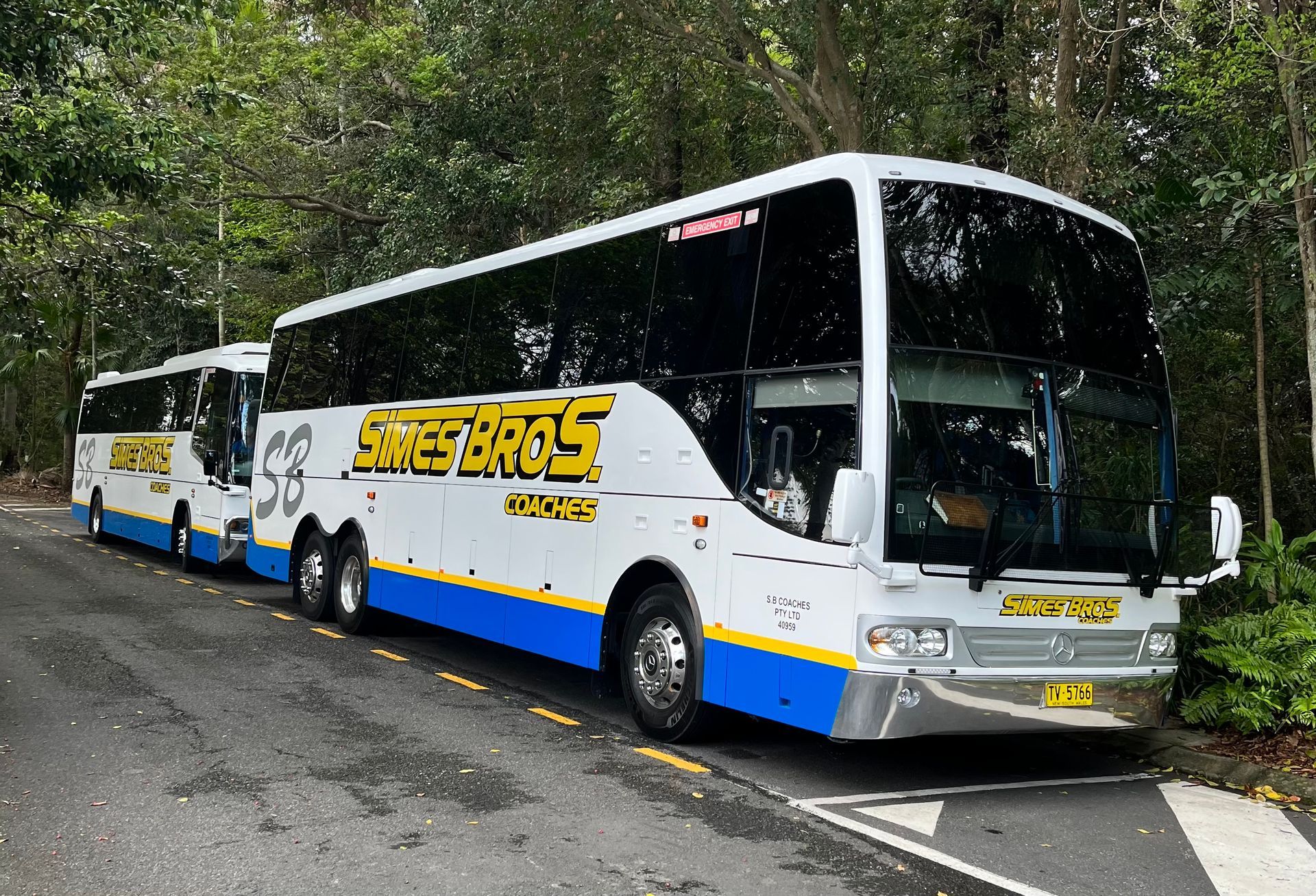 Two white and blue Sines Bros Coaches parked on the side of a road, surrounded by trees.