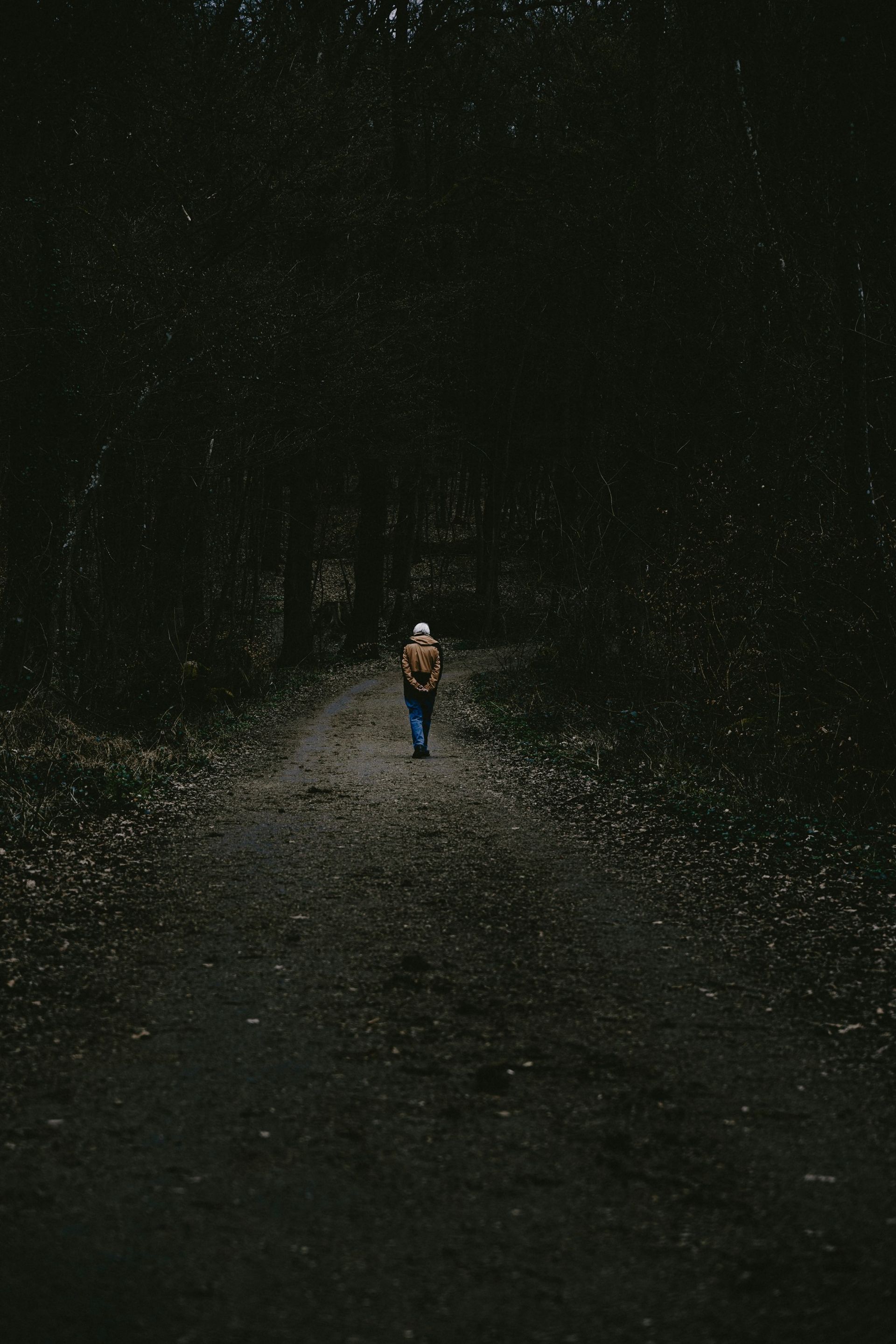 Adult with hands behind back walking down a wooded trail.
