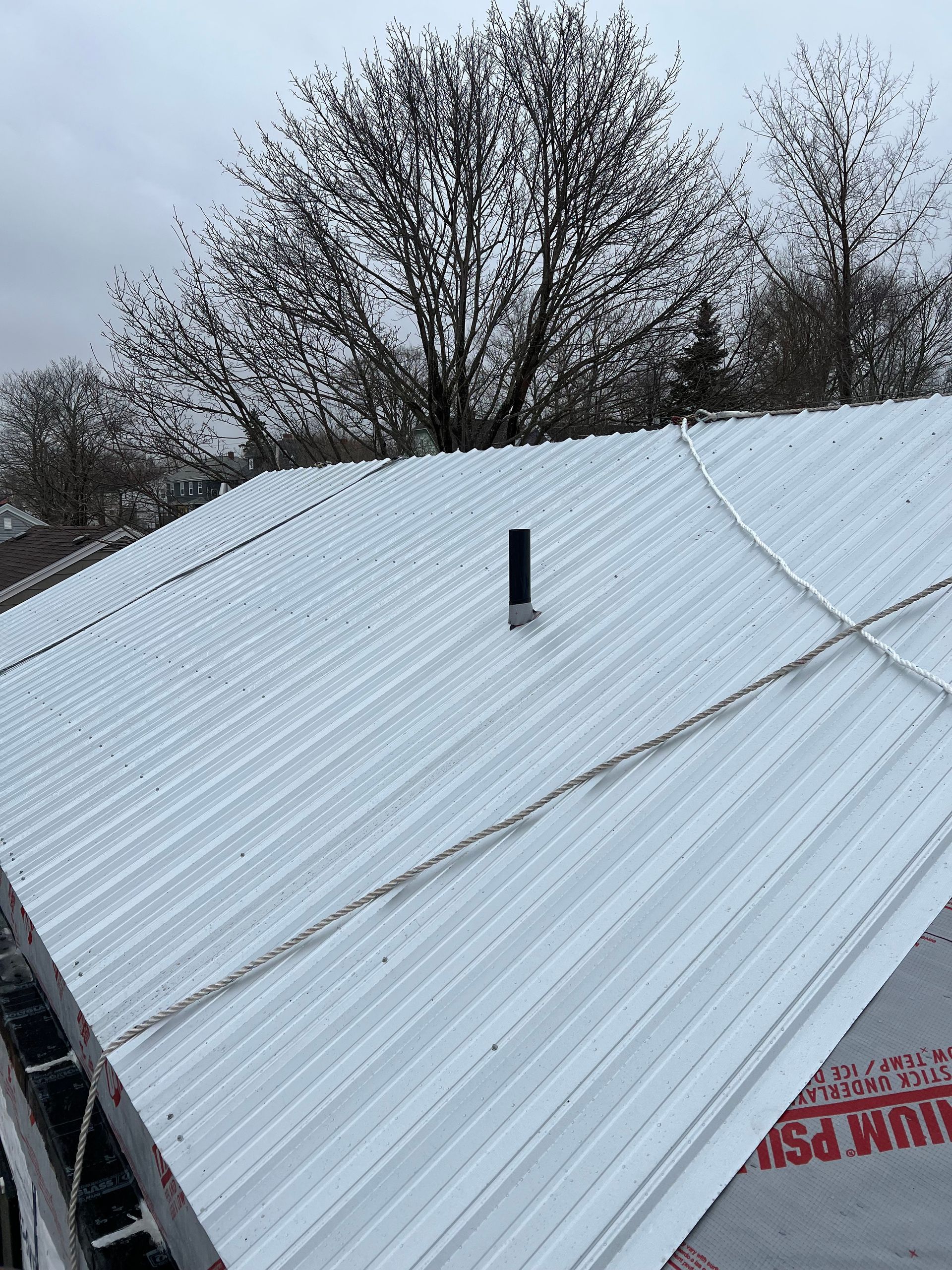 White corrugated metal roof with a chimney, set against bare trees and overcast sky.