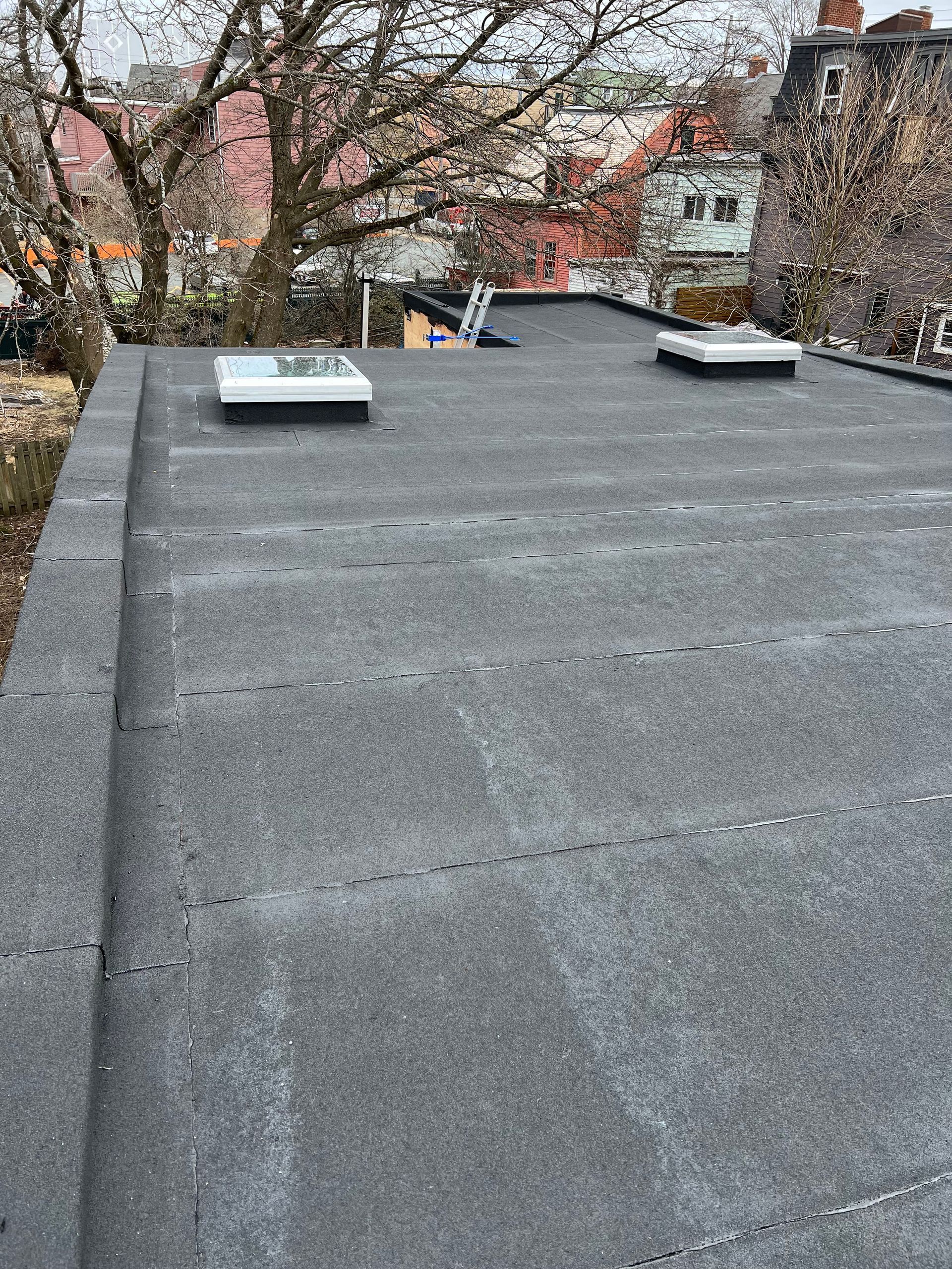 Flat black rooftop with two skylights, ladder, and surrounding trees.