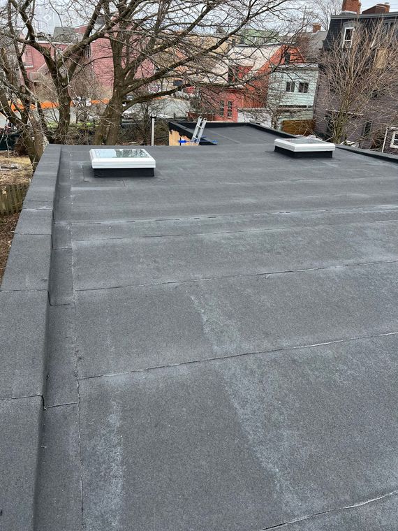 Flat black rooftop with two skylights, ladder, and surrounding trees.