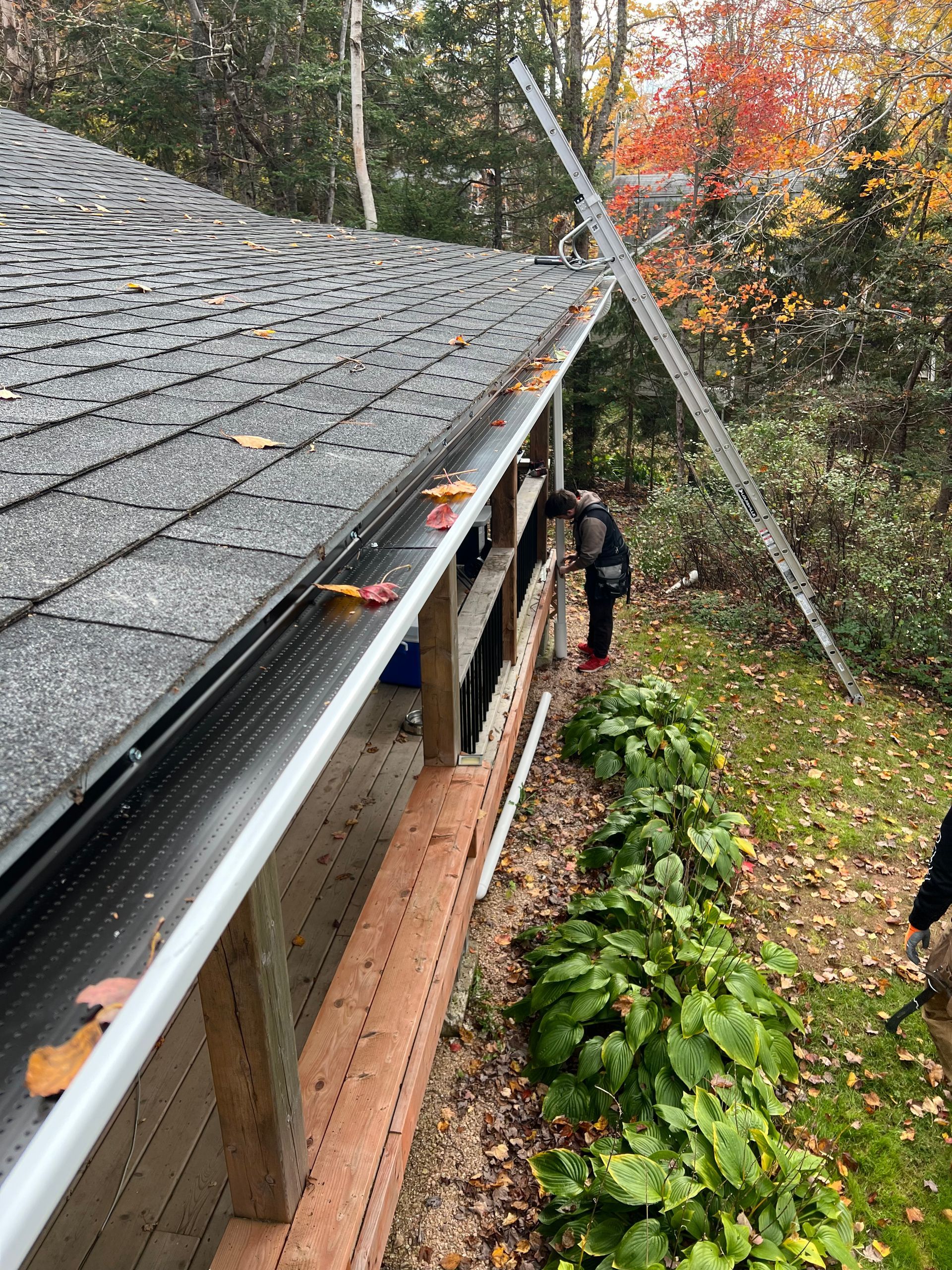 Person cleaning gutters of a house, ladder propped against the roof. Fall foliage visible.