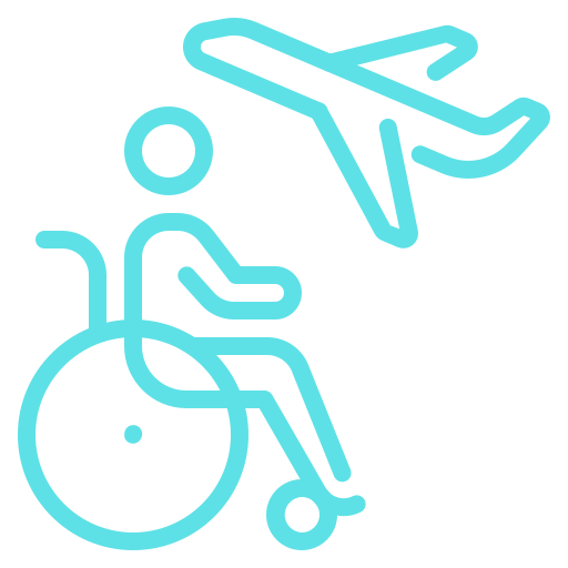 Blue line icons of a wheelchair user and an airplane, suggesting accessible air travel