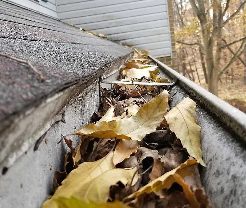 A gutter filled with leaves on the side of a house.