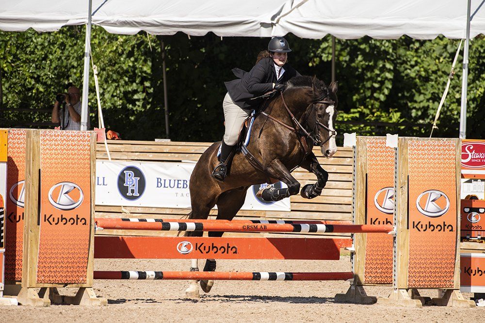Woman in jumper ring riding horse at silver series horse competition