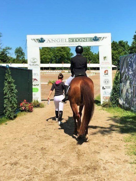 A trainer leading a horse and rider into a dressage ring for competition