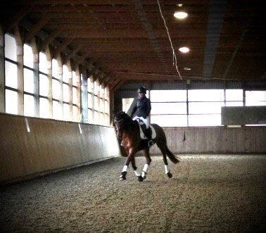 A rider on a horse in an indoor arena