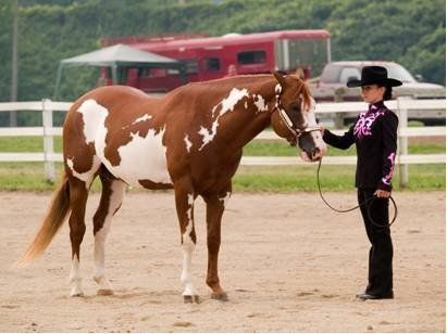 A trainer in a sand ring with her horse on a lead line.