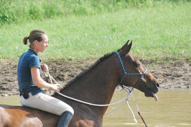 A rider on a horse, riding bareback with a rope halter in a pond