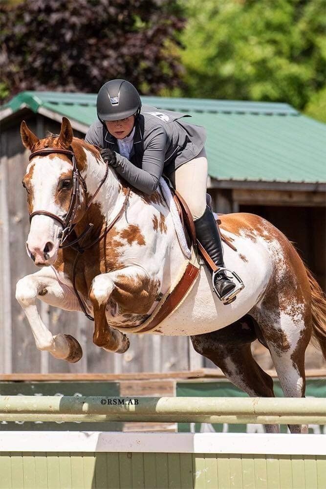 Woman in hunter ring riding horse at silver series horse competition