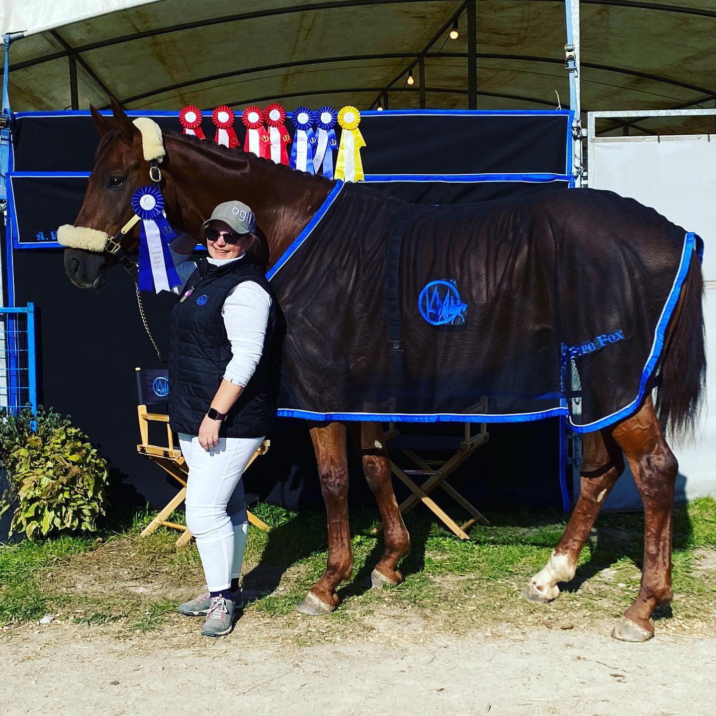 Rider beside horse with winning ribbons