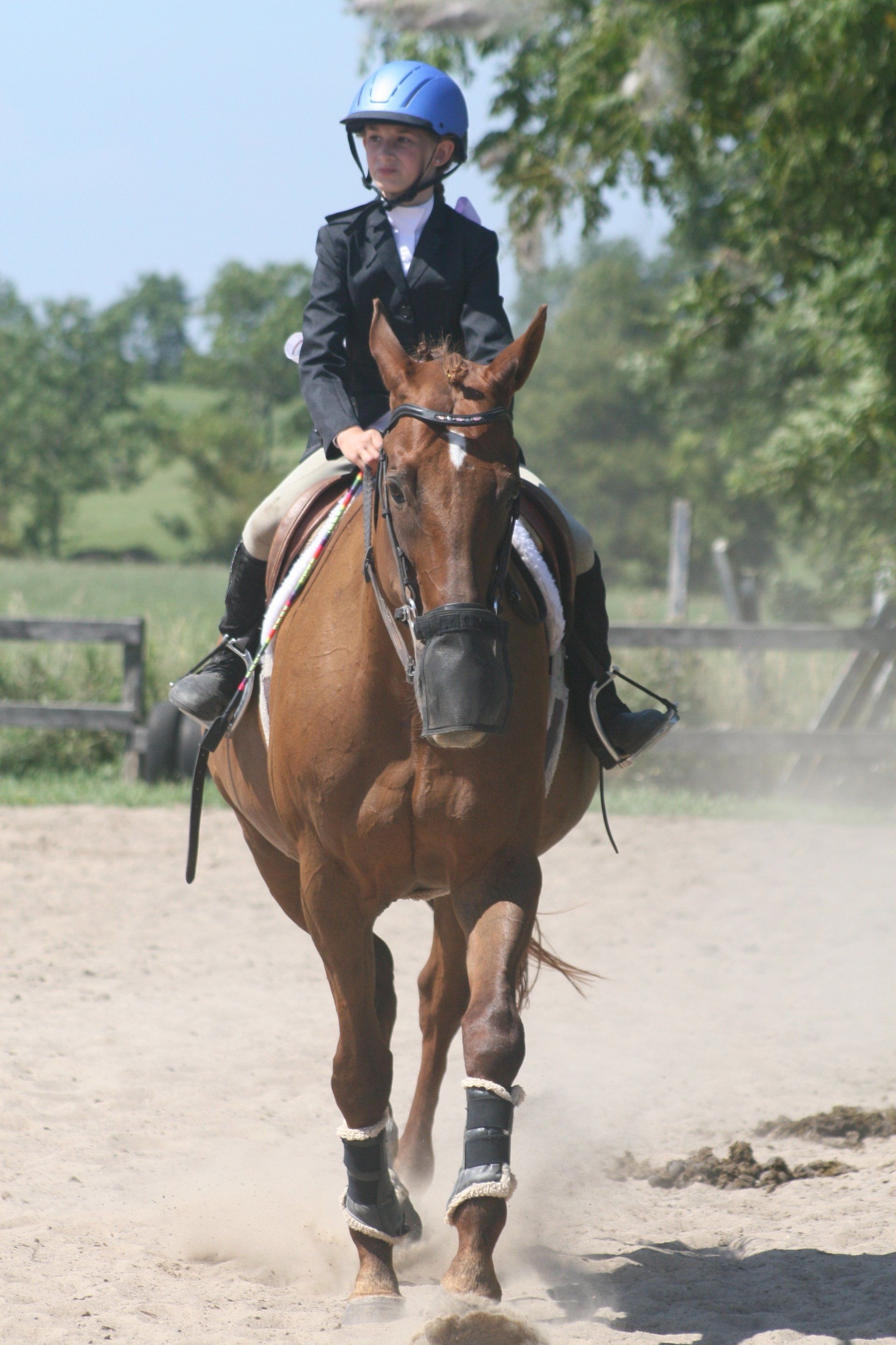 Young rider on horse trotting in sand ring
