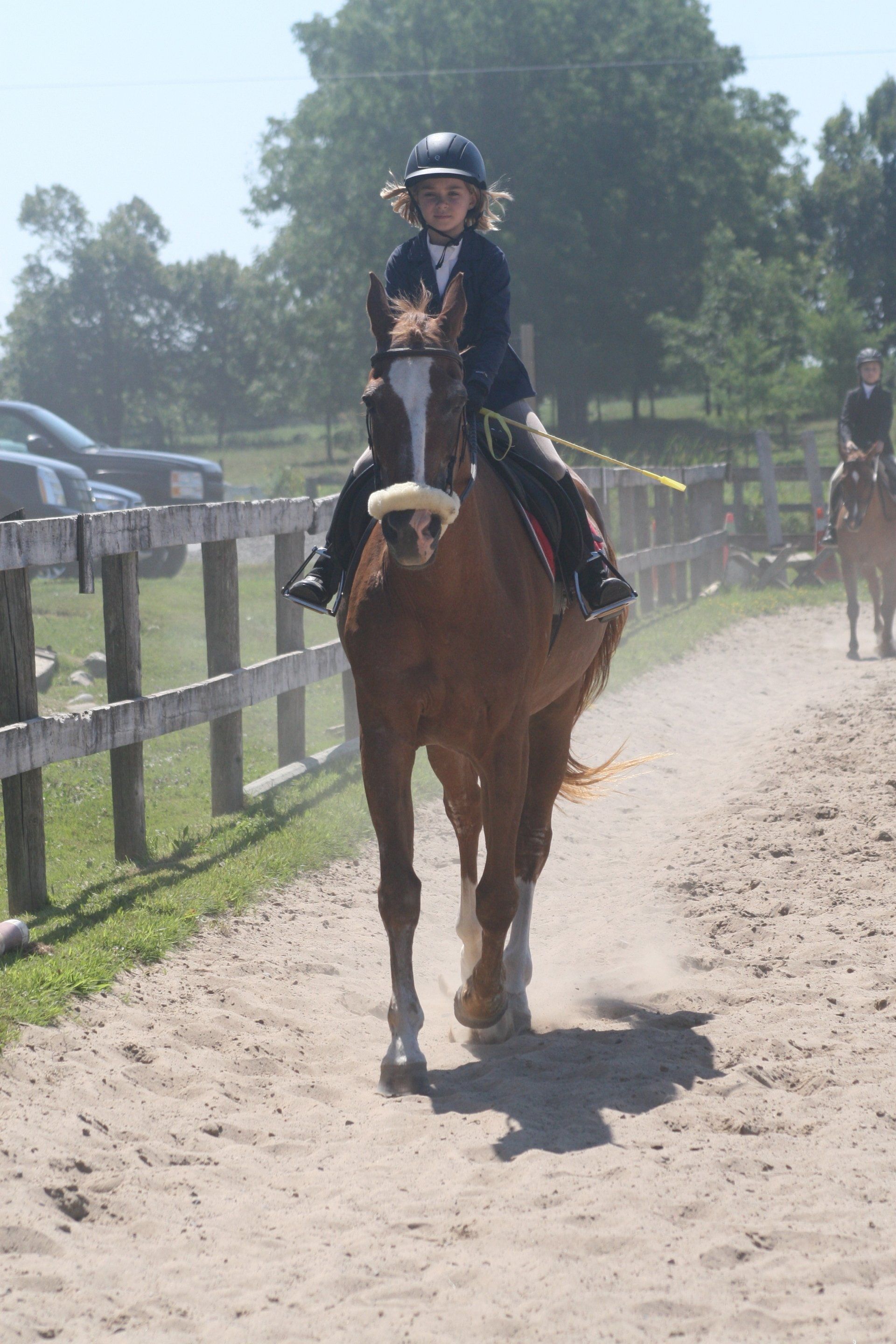 Young rider on horse trotting in sand ring