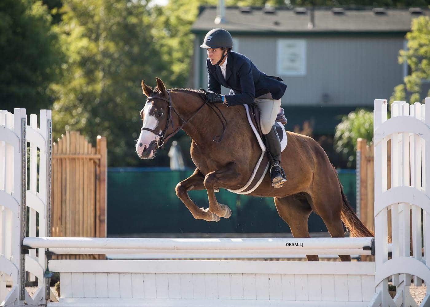 Woman in hunter ring riding horse at silver series horse competition