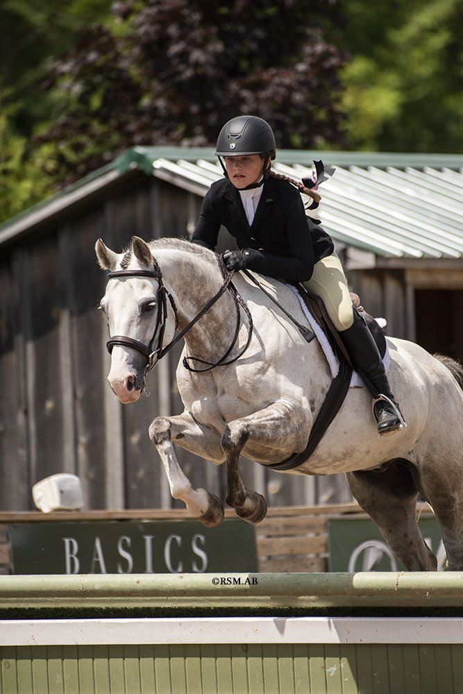 Young girl in hunter ring riding horse at silver series horse competition