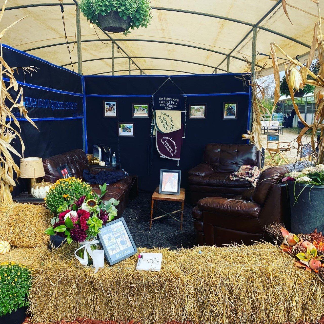 display at show