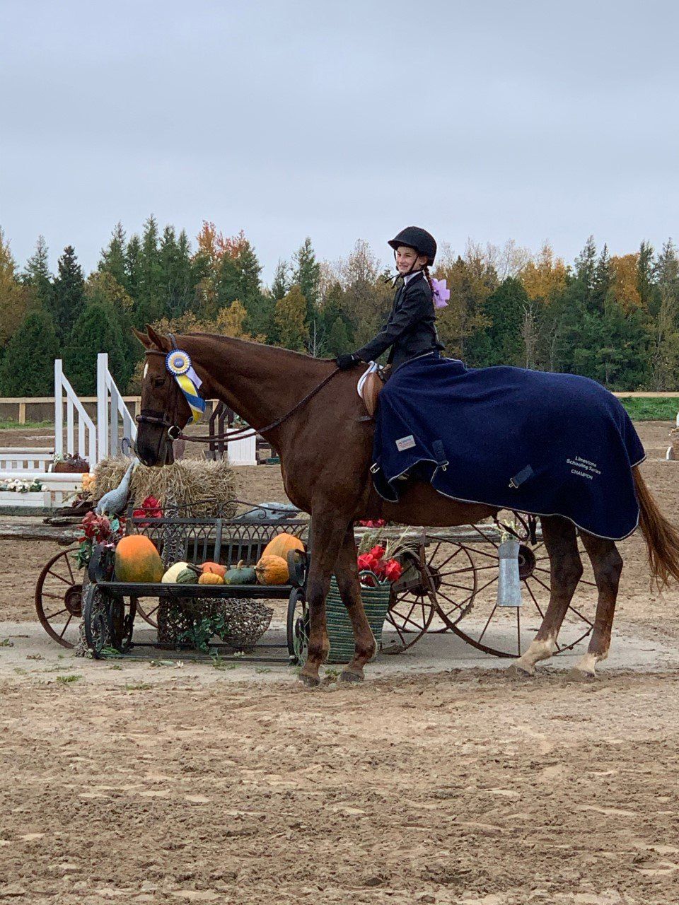 Young rider on horse at show with winning ribbon