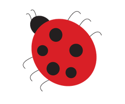 A ladybug with black spots on a white background