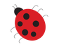 A ladybug with black spots on a white background