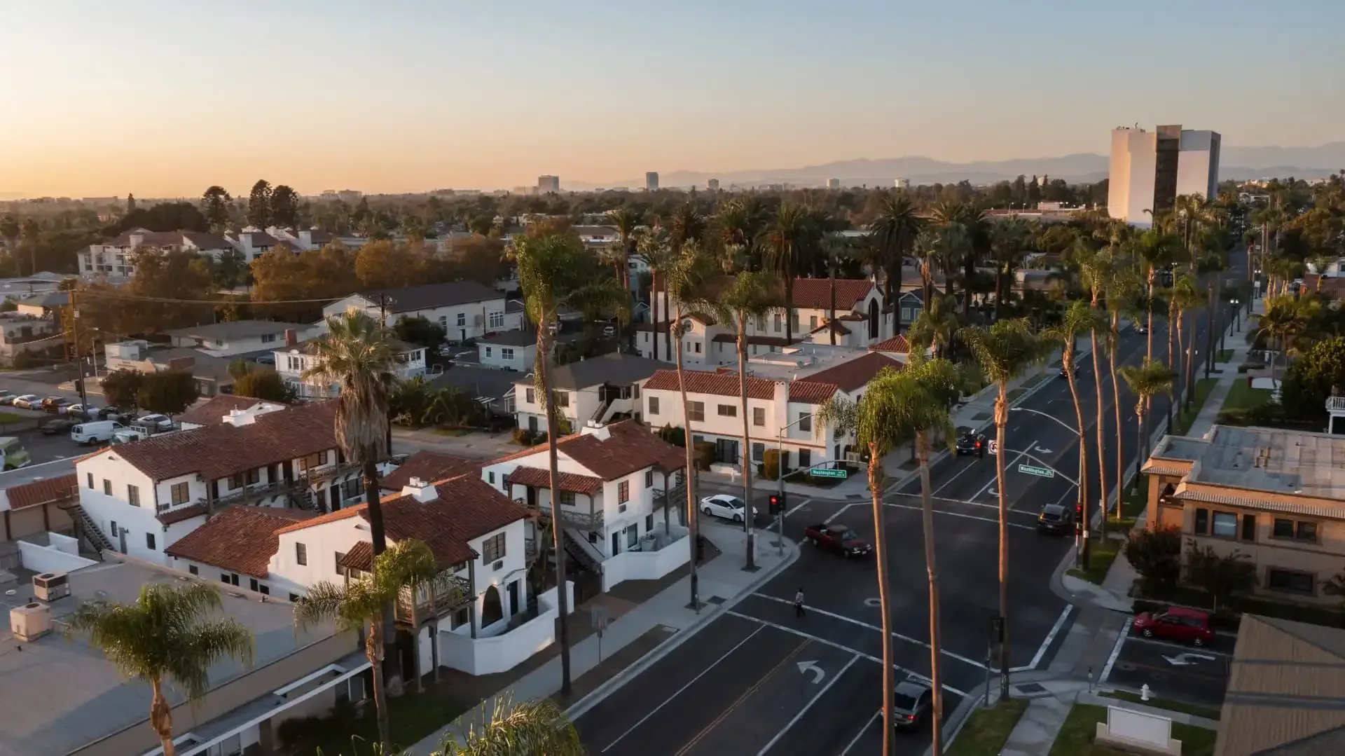 An aerial view of a residential area with palm trees and houses.