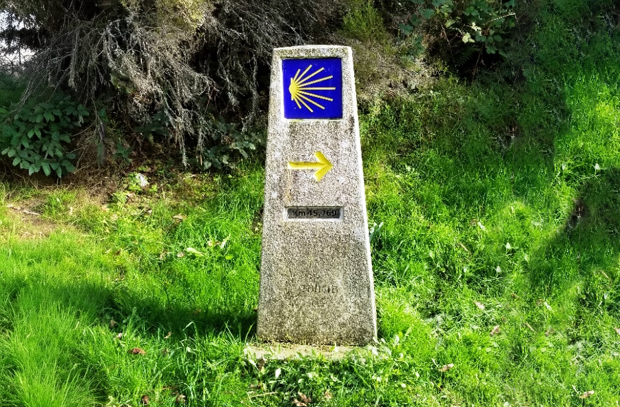 Concrete marker showing a yellow seashell motif on a blue background with a yellow arrow beneath