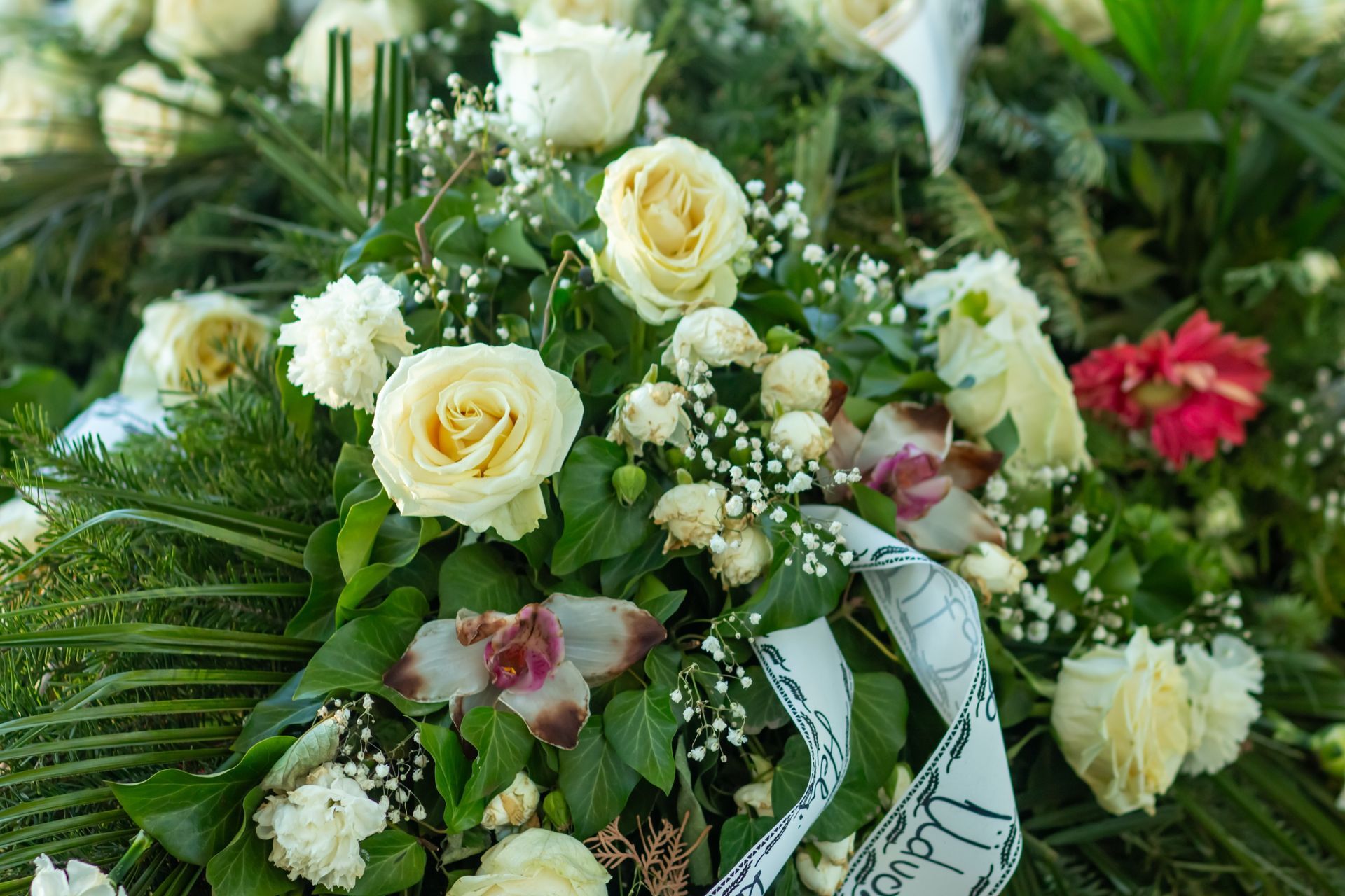 A red rose is sitting on a gravestone in a cemetery.