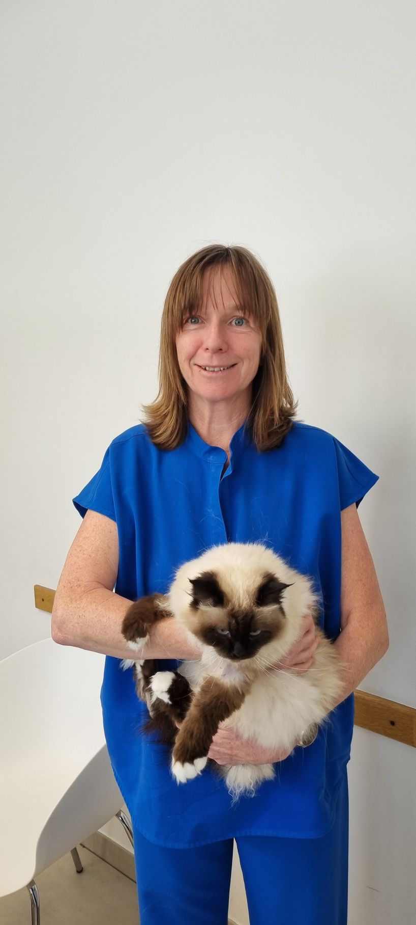 Une femme en chemise bleue tient un chat dans ses bras.