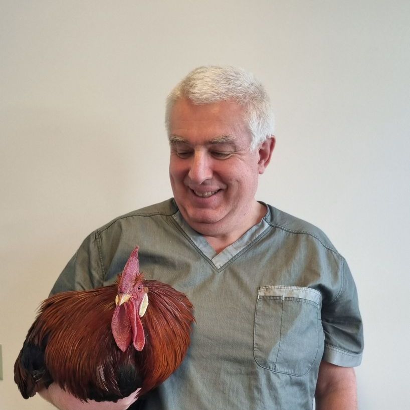 Un homme en tenue médicale tient un coq brun