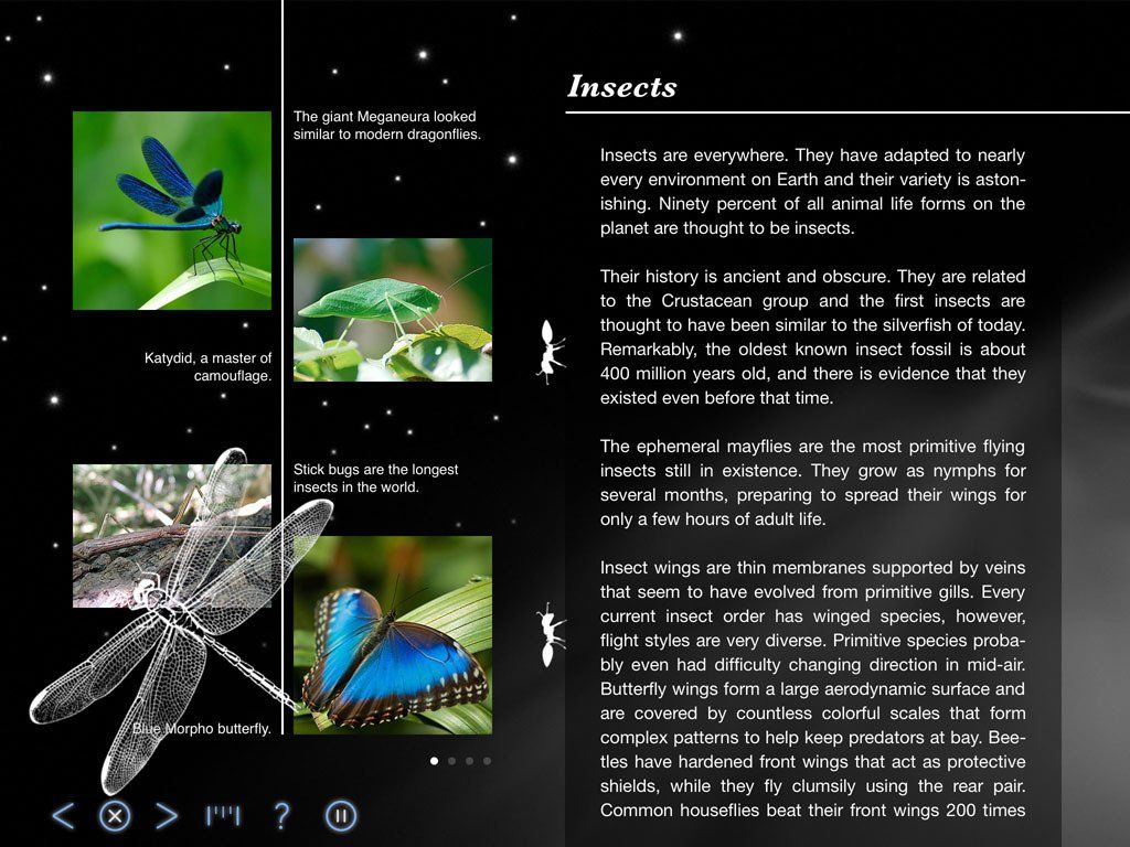 Insects - Back in Time Screenshot - Universe, Earth and World History - App by LANDKA ®